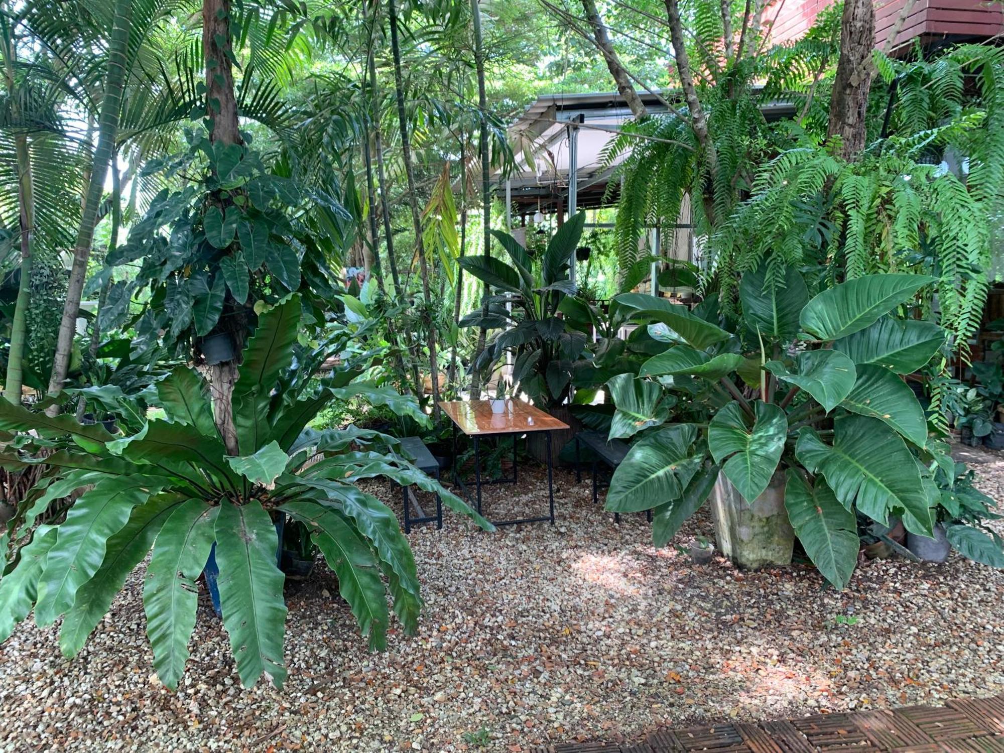 Ban Phae  Baan Suan Duang Porn Resort מראה חיצוני תמונה