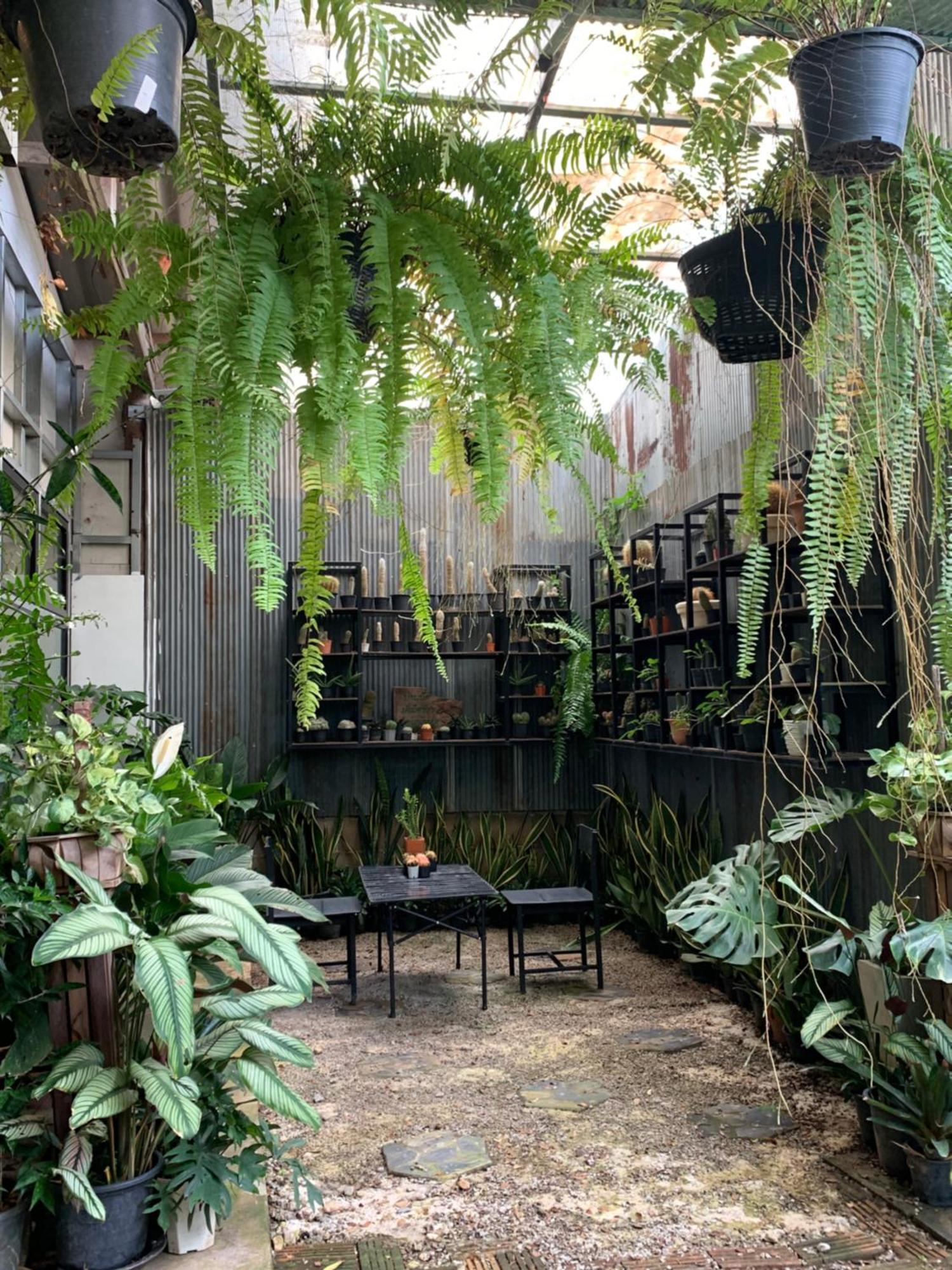 Ban Phae  Baan Suan Duang Porn Resort מראה חיצוני תמונה